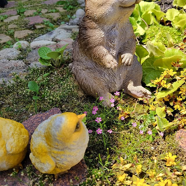Mariさんの部屋