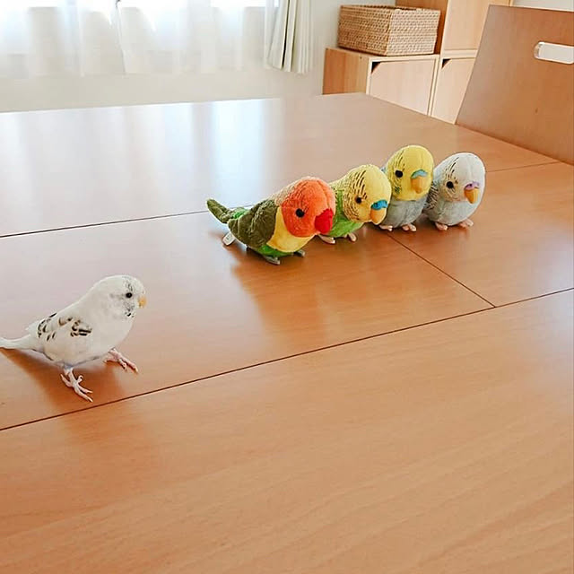 yumiさんの実例写真