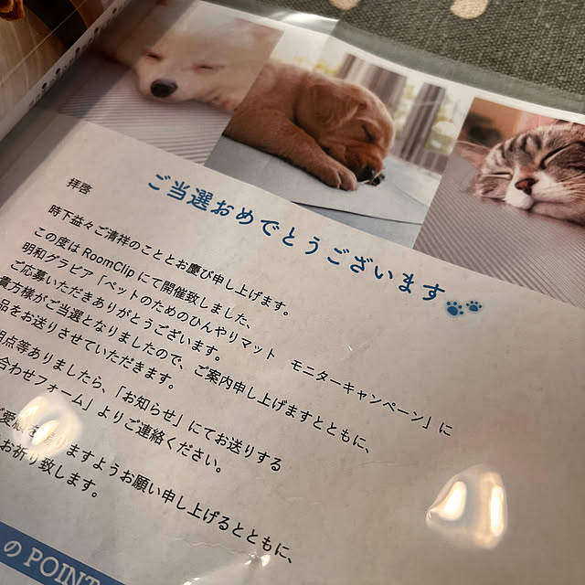 momo-nanaさんの実例写真