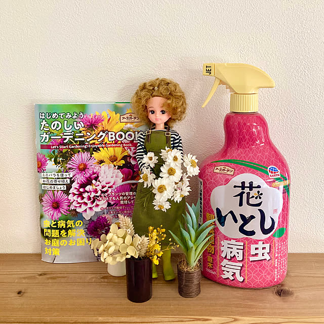 FUJICOさんの部屋