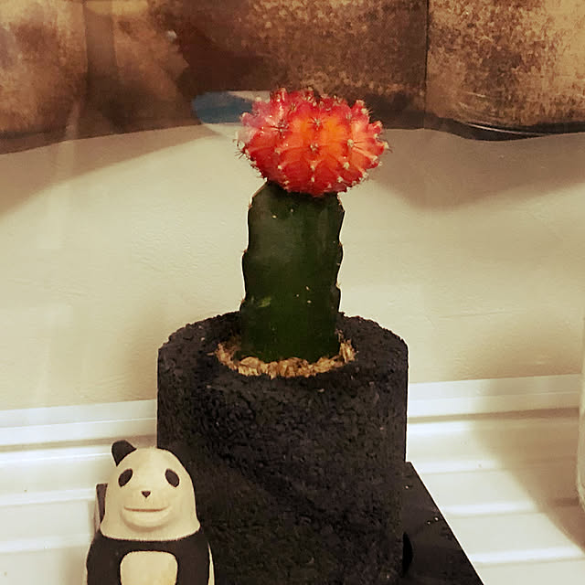 haruchunさんの実例写真