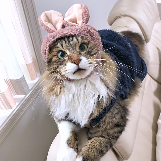 yuchiさんの実例写真