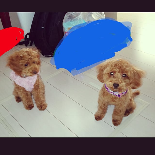 ty1188さんの実例写真
