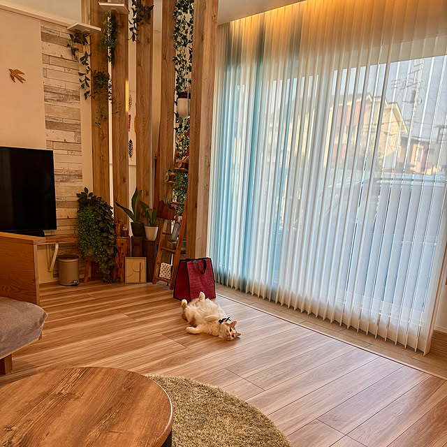 yutaさんの実例写真