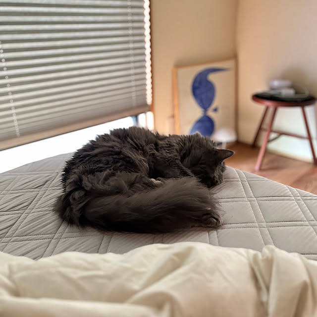 Kikko.さんの部屋