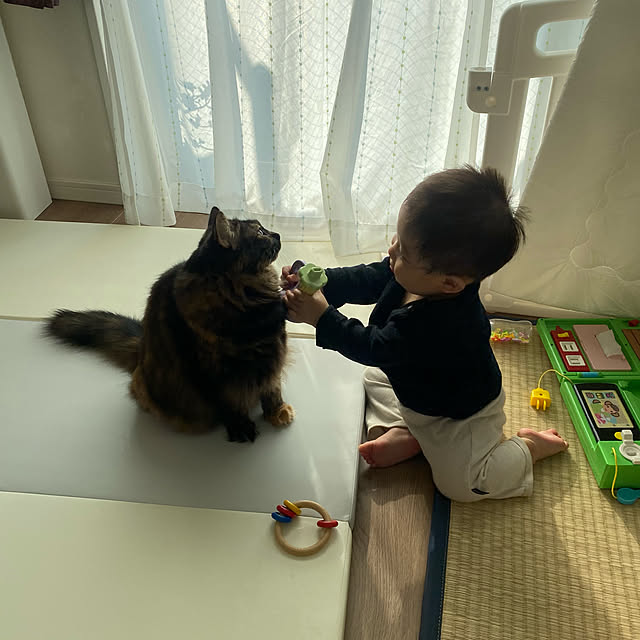 mikomaruさんの実例写真