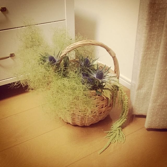 sacraさんの実例写真