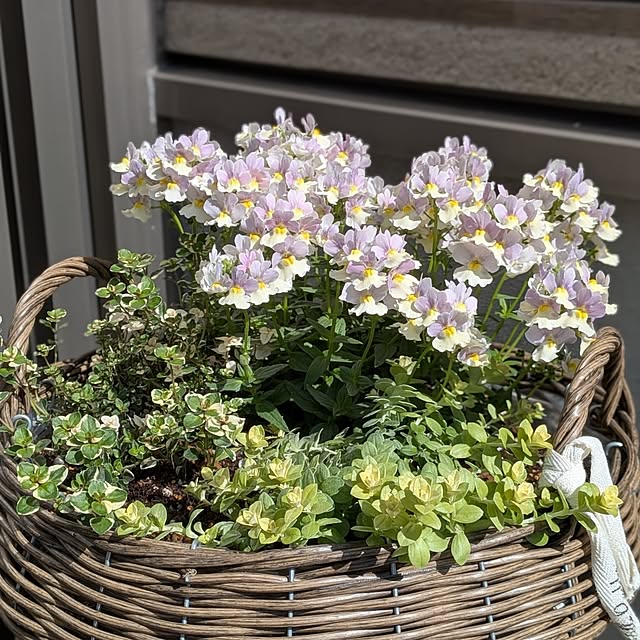 kumijiさんの部屋