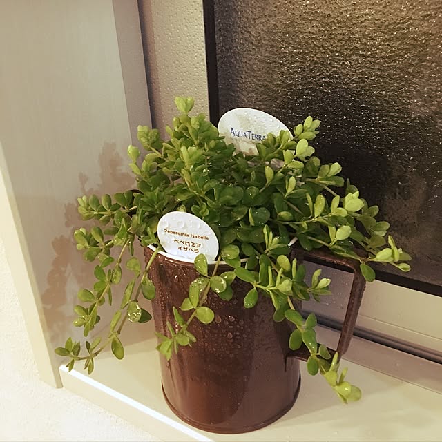 lunamamajunkoさんの実例写真