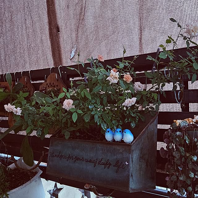 mocomocoさんの部屋