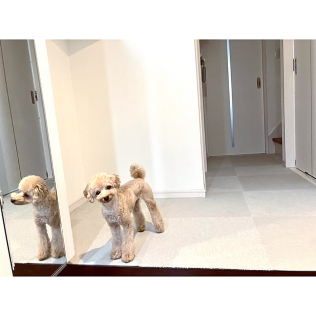 _rm_さんの部屋