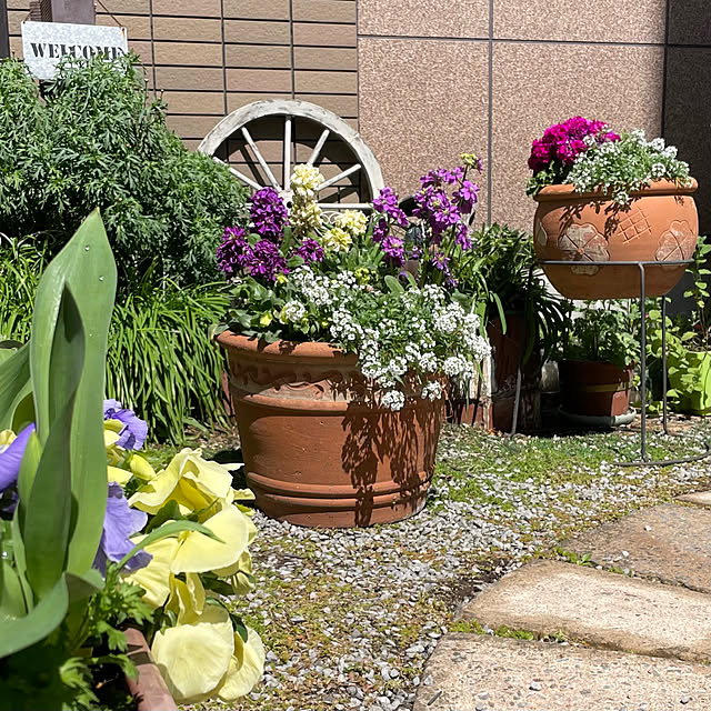 puriyuzuさんの部屋