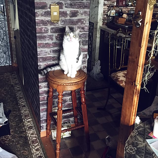 emmyyさんの実例写真