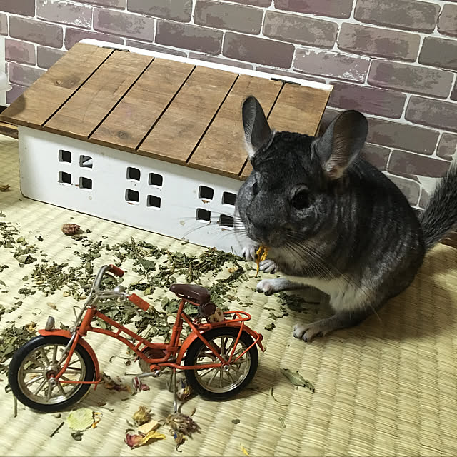 bambiさんの実例写真