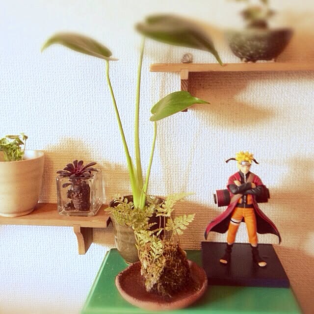Yukaさんの実例写真