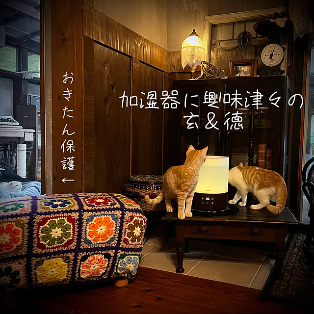 marusanさんの実例写真