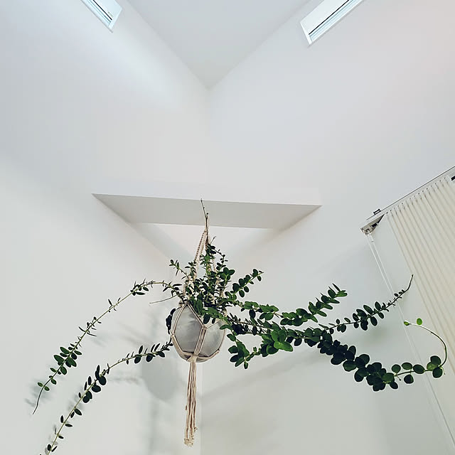 naturalmodernさんの実例写真
