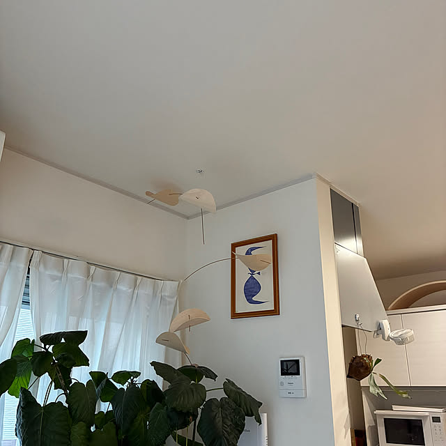 runrun3さんの実例写真