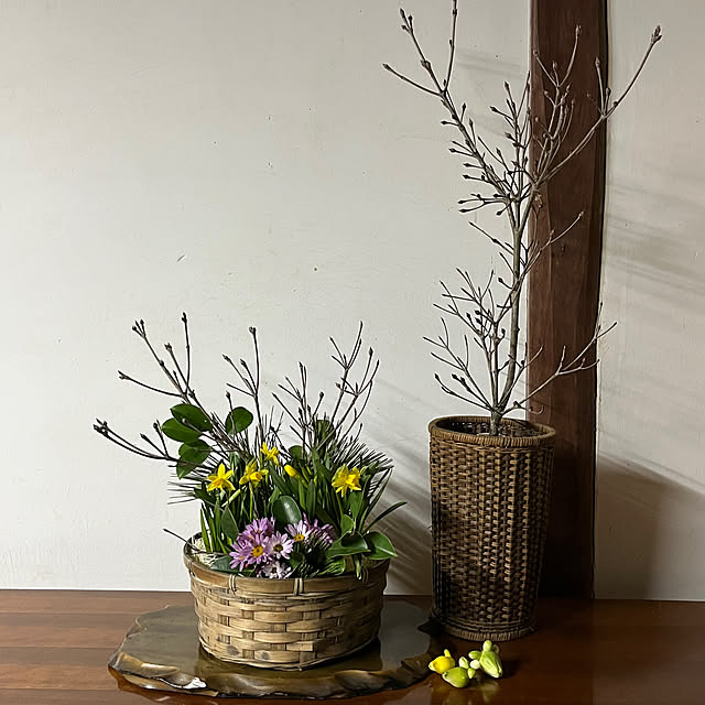 cotaさんの部屋