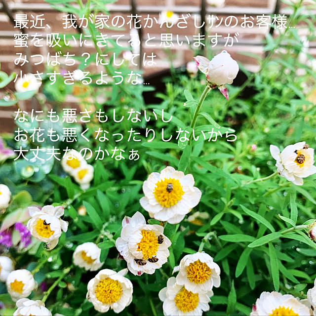 mo-nosukeさんの実例写真