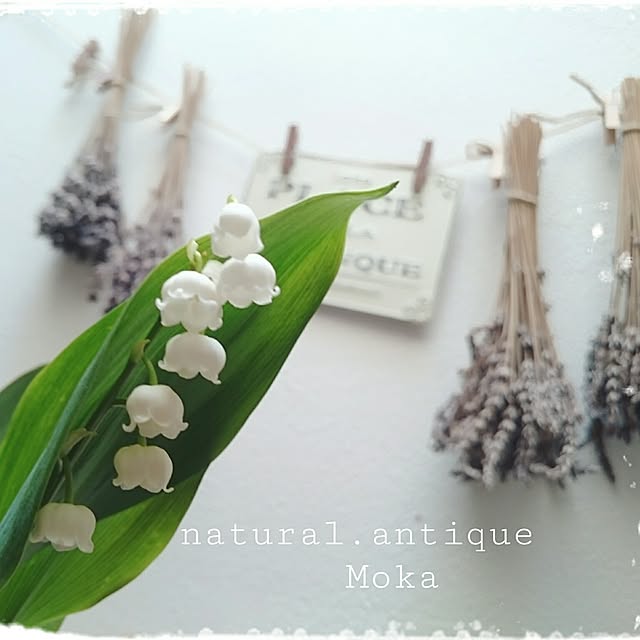 Mokaさんの実例写真