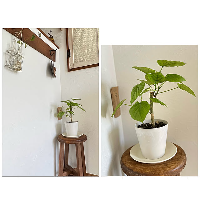 rookuさんの部屋