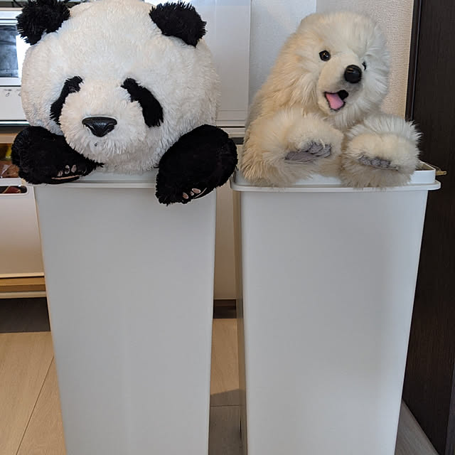 sinsinさんの実例写真