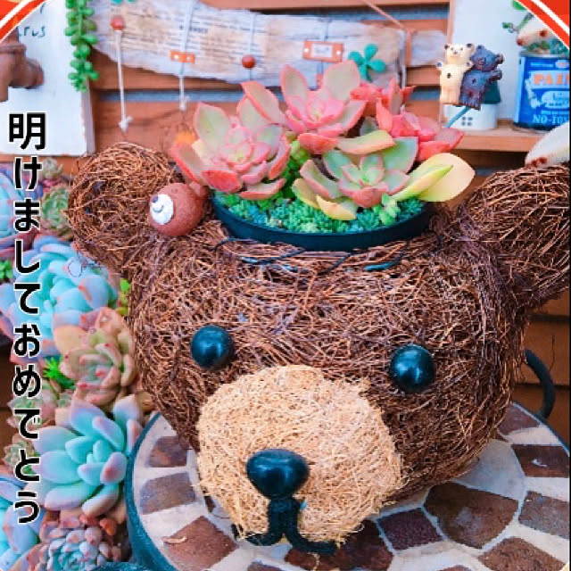 hana4504さんの実例写真
