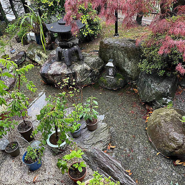 shin0719さんの実例写真