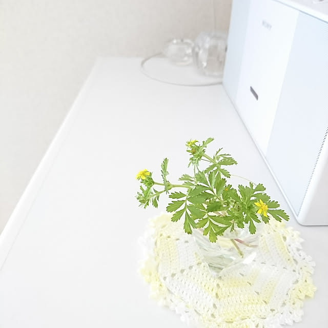 sさんの実例写真