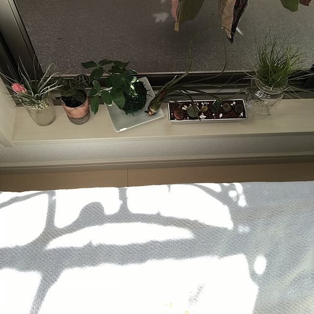 gumitaさんの実例写真