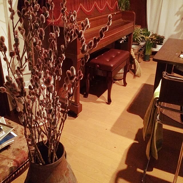 Zouさんの実例写真