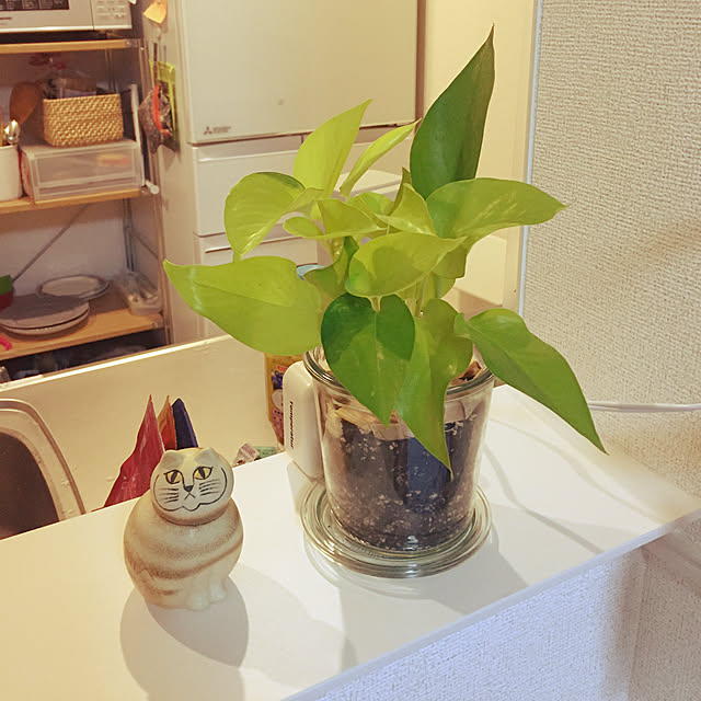 mikiさんの実例写真