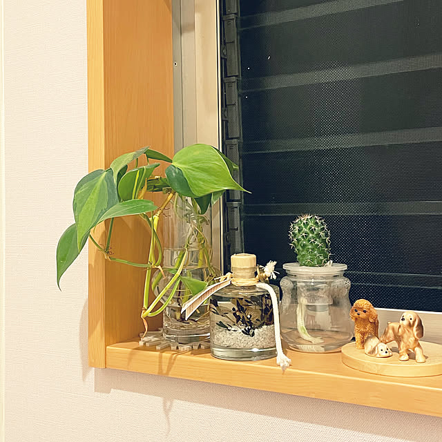 nanachanmamaさんの実例写真