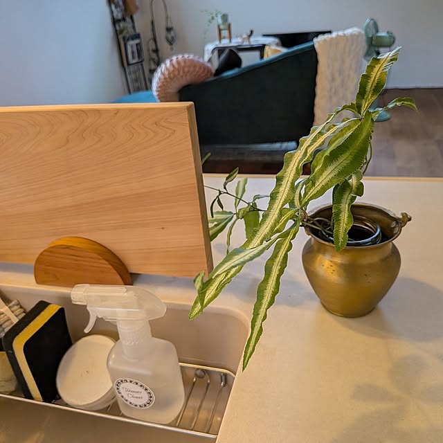 Maroさんの部屋