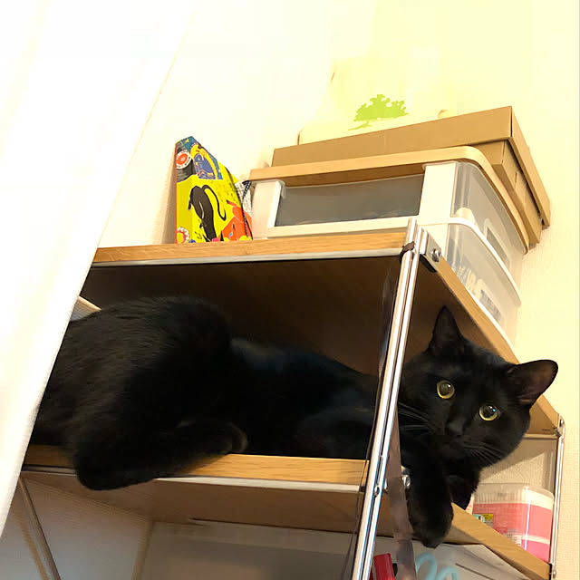 nyaさんの実例写真