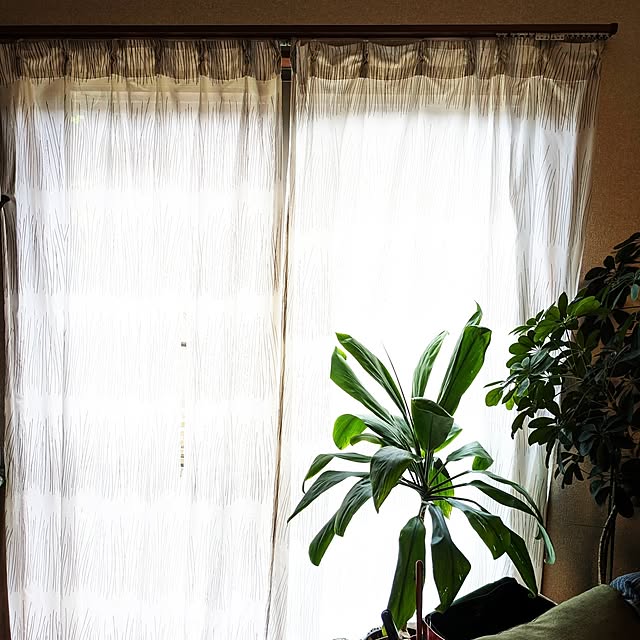 mofukoさんの部屋