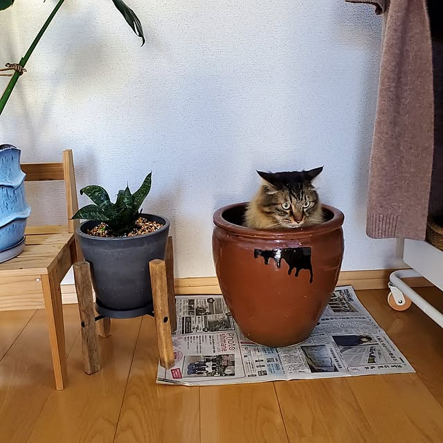 makoさんの実例写真