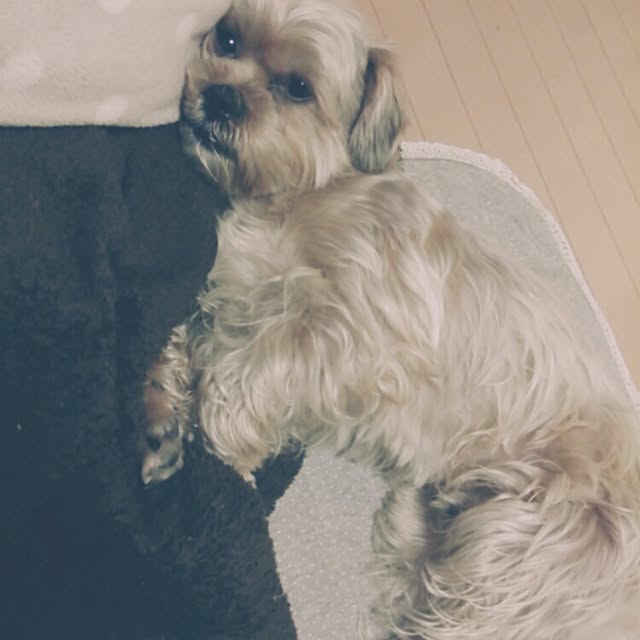 soraさんの実例写真