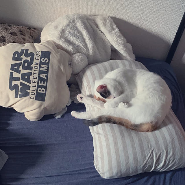 Mariさんの実例写真