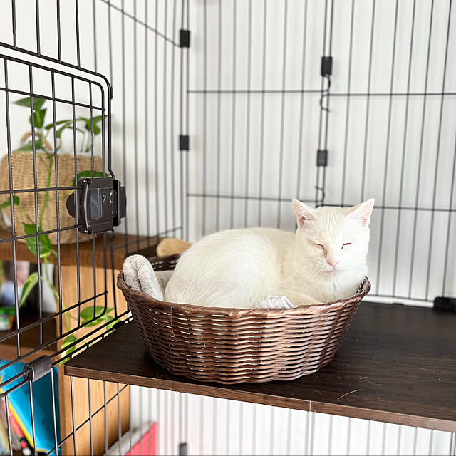 Maruさんの部屋