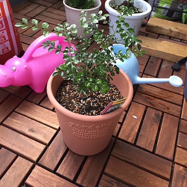 MFO3582さんの実例写真