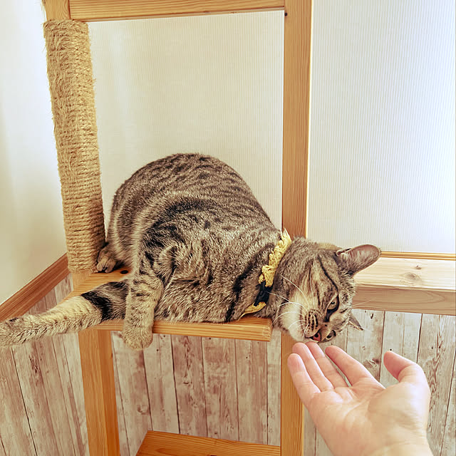 Mさんの実例写真