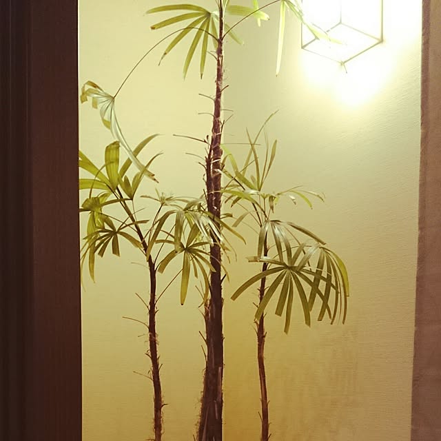 実例写真