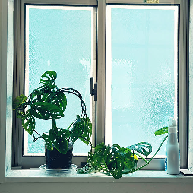 MOMOMAMAさんの実例写真