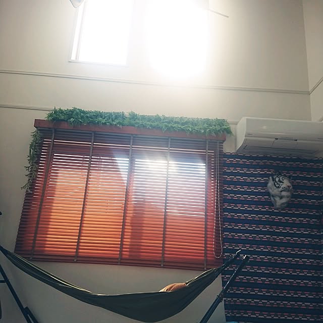 urchinさんの部屋