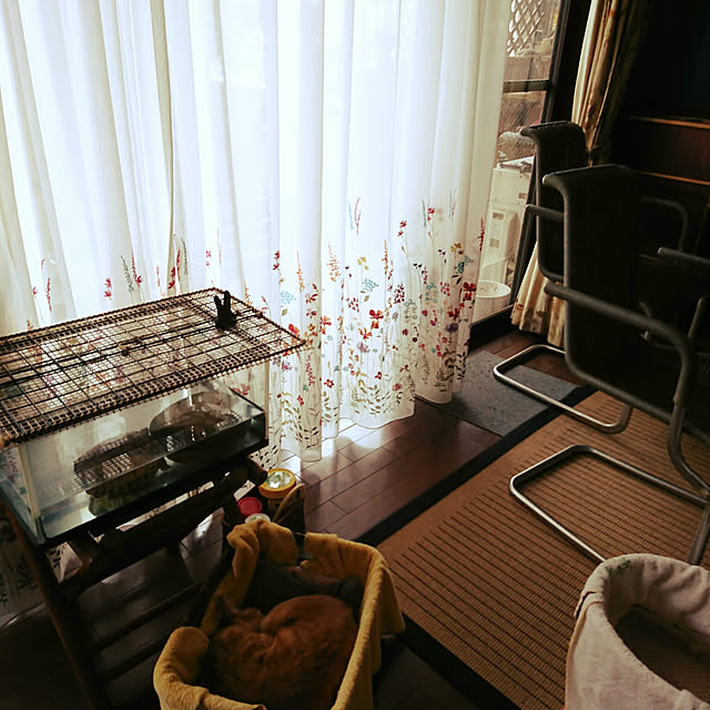 okyosan101さんの実例写真