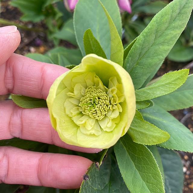 uraraさんの部屋