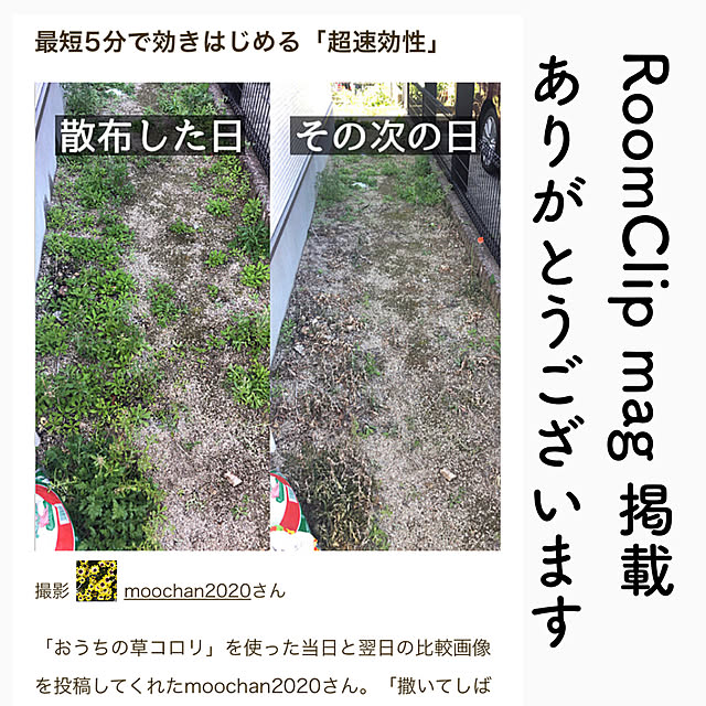 moochan2020さんの実例写真