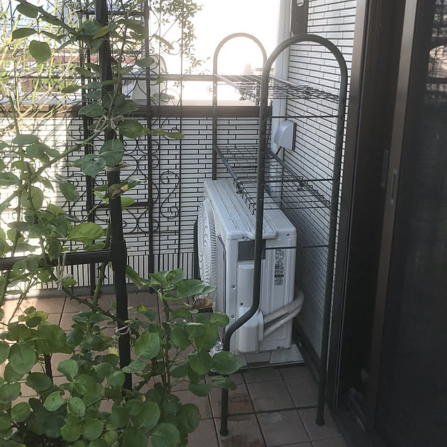 nonさんの実例写真